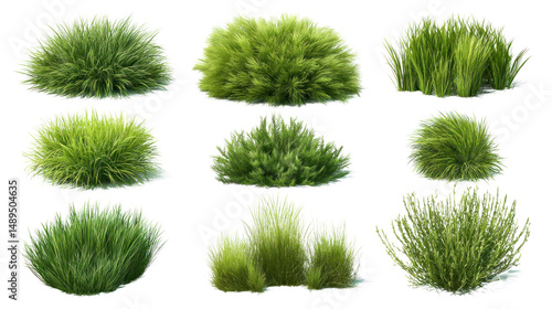 A stunning composition featuring a collection of meticulously captured green bushes, each showcasing unique textures and forms.