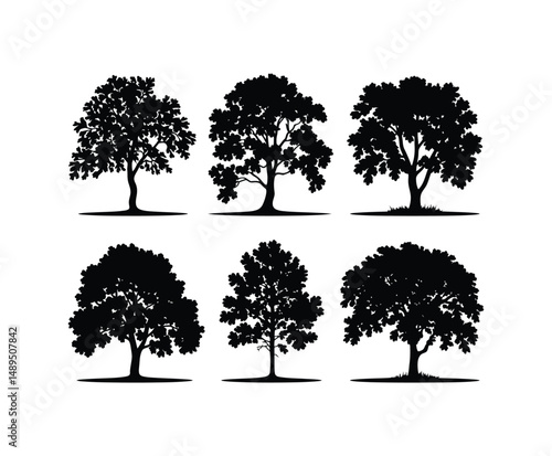 Silhouette of Oak Tree Isolated Vector Template Design