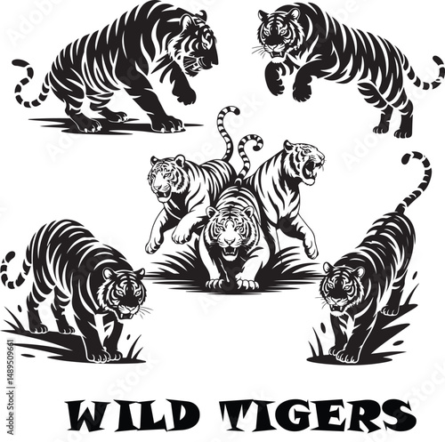 This graphic design features five black and white tiger silhouettes in various dynamic poses, including hunting, standing, and roaring on white