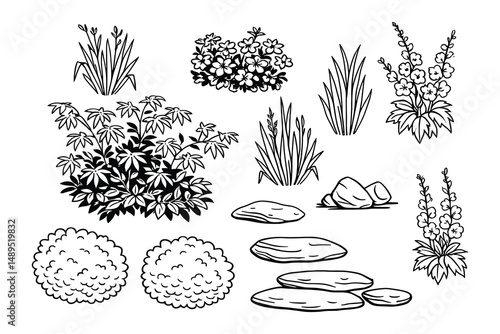 Botanical Landscape Sketch: Detailed Outline of Ornamental Plants and Stone Pavers
