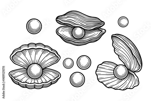 Seashells and Pearls Engraved Line Art Illustration Set