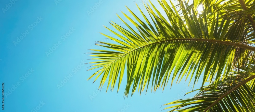 Naklejka premium Lush Palm Fronds Against a Clear Sky