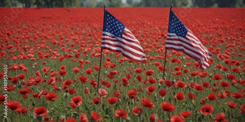 American flag draped over field of red poppies, Memorial Day remembrance ,  national,  military,  honor