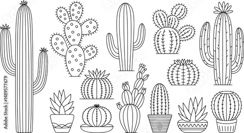 Desert cactus collection line art botanical illustrations