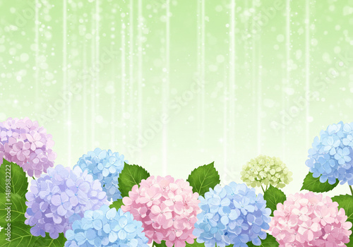 Wallpaper Mural お花フレーム Torontodigital.ca