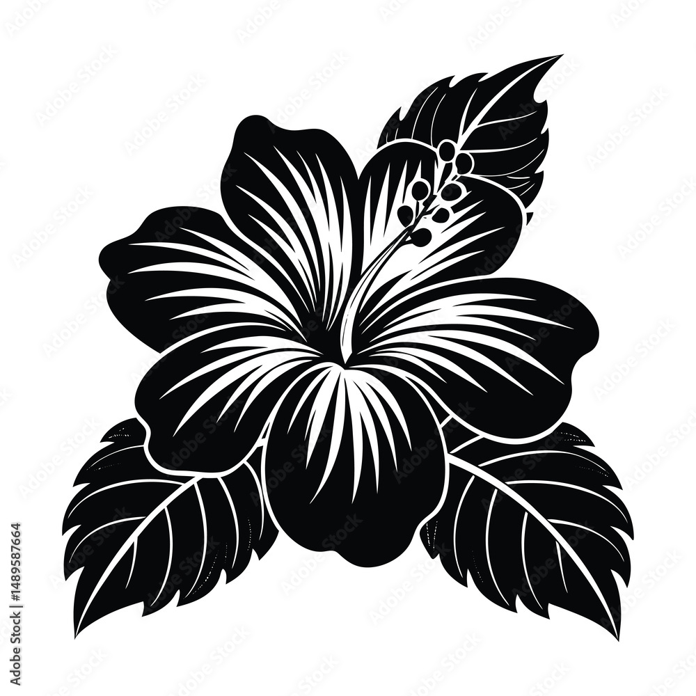 Obraz premium Hibiscus Flower svg