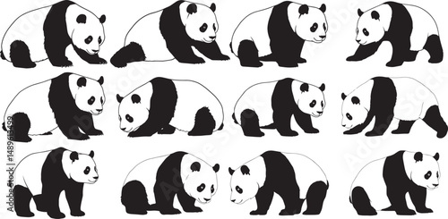 Panda bear drawings cute animal illustration black and white vector art wildlife mammal endangered species