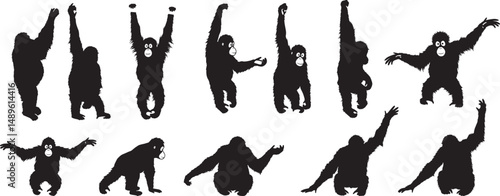 Orangutan silhouette vector collection of different poses for graphic design and illustrations