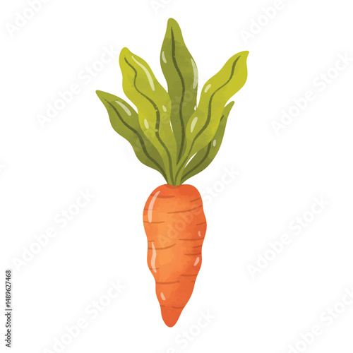 Watercolor hand painted carrot vegetable, carrot clip art, clip art carrot vector, wortel or carota sativa illustration in watercolor style, isolated on white background
