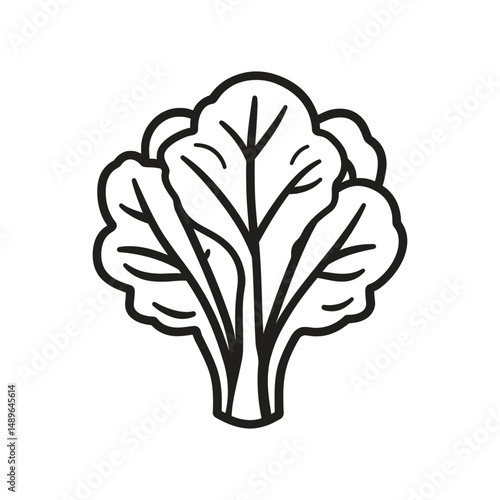 Outline drawing depicts a head of bok choy, isolated on white background and transparent