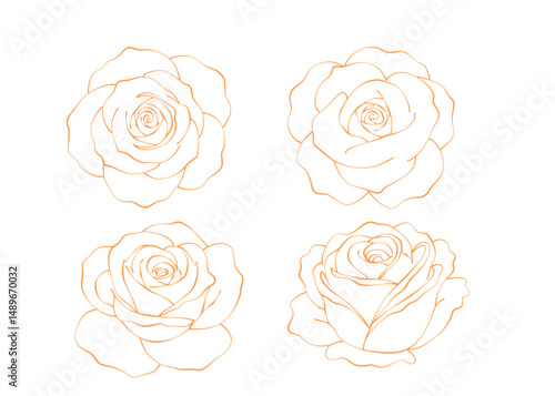 set of elegant gold rose flowers outline. vector illustration on white background.