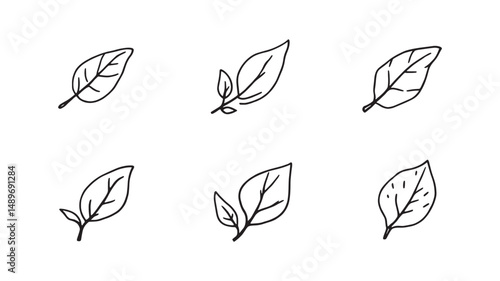tea leaf line art natural calming image