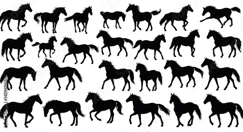 Equine Elegance: A Silhouette Symphony