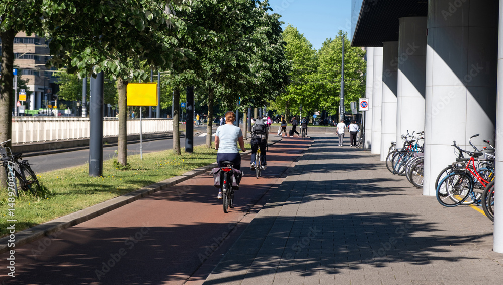 Biking at the city center, people riding bikes on the bicycle lane, rear view. Netherlands