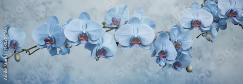 Delicate blue watercolor wash backdrop featuring vibrant Phalaenopsis orchids, showcasing intricate details , macro, painting