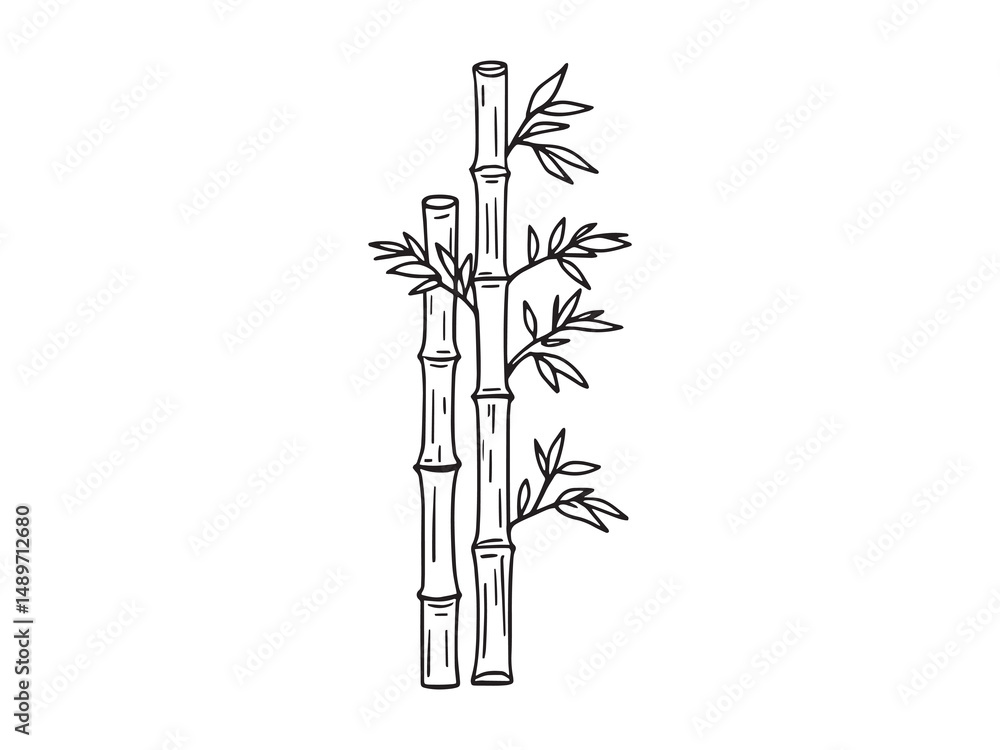 Naklejka premium Bamboo line art vector illustration