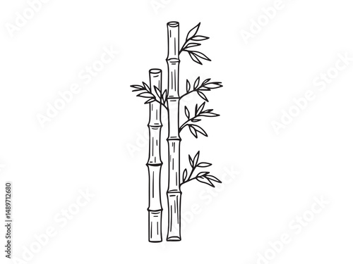 Bamboo line art vector illustration