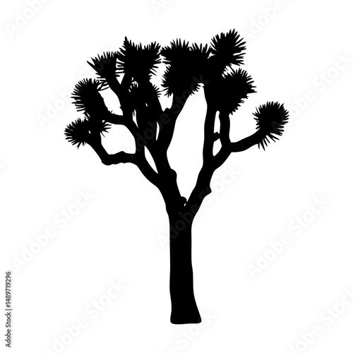 Joshua tree desert plant vector illustration