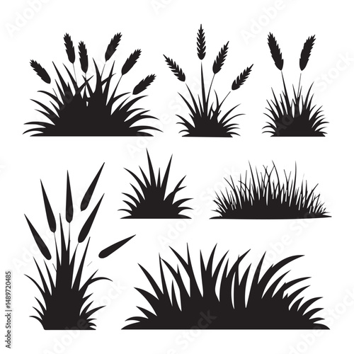 Assortment of grass silhouettes collection