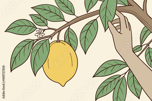 59 a ripe, freshly picked lemon held in an outstretched hand, surrounded by green leaves, natural lighting, high detail, realistic, 8k