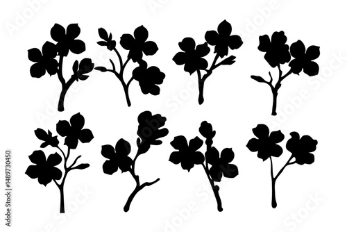 Dogwood tree black silhouette vector illustration