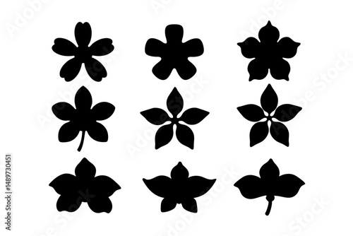 Dogwood tree black silhouette vector illustration