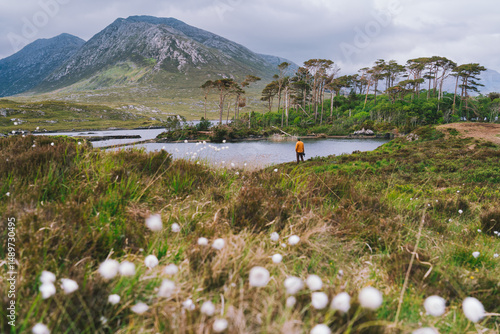 Bild auf Leinwand A lone man in a yellow jacket gazes at Pine Island in Connemara, framed by wildflowers, a serene lake, and the dramatic Twelve Bens mountains rising in the background