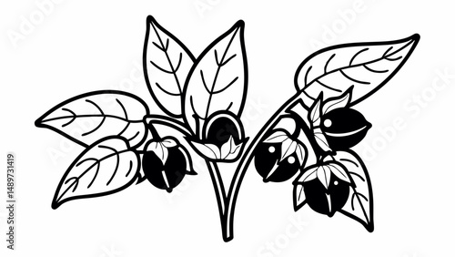 Illustration of a flowering plant with leaves and dark berries in black and white outline style created with generated ai