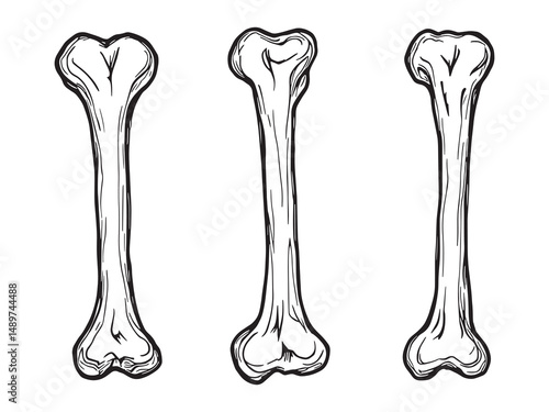 Ghoul Bone line art vector illustration