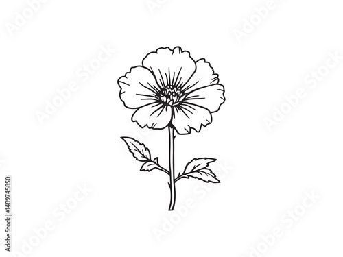 Wallpaper Mural Geranium line art vector illustration Torontodigital.ca