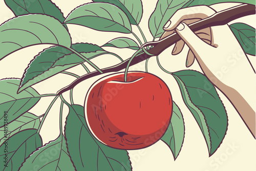 61 a close up of a ripe, juicy red apple being held in a human hand, lush green leaves surrounding the apple, detailed, high resolution, photorealistic