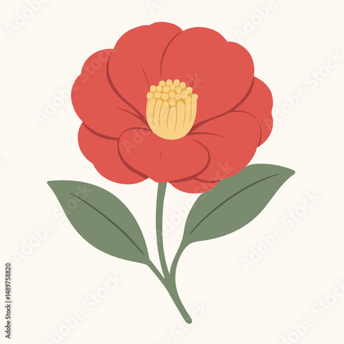 Red camellia flower