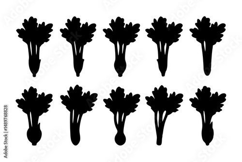 Celery bunch leafy vegetable silhouette set vector illustration