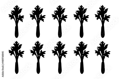 Celery bunch leafy vegetable silhouette set vector illustration