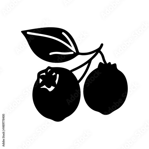 Blueberry Fruit Minimalist Silhouette Vector Illustration