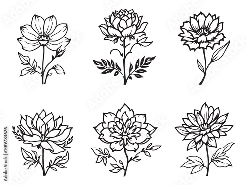 Nymph Blossom line art vector illustration