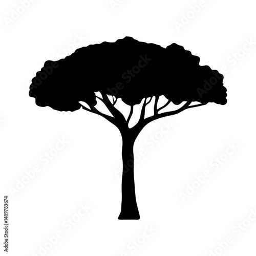 Stone pine tree mature silhouette vector illustration