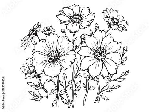 Nymph Blossom line art vector illustration