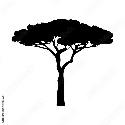 Stone pine tree mature silhouette vector illustration