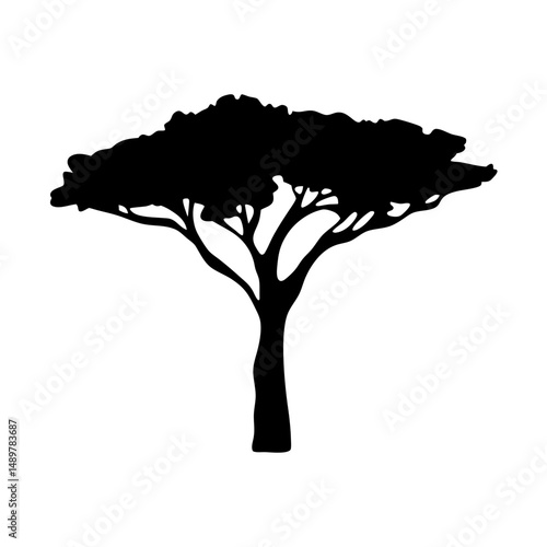 Stone pine tree mature silhouette vector illustration