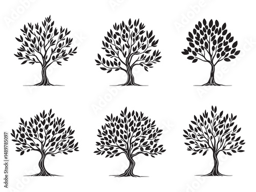 Olive Tree line art vector illustration