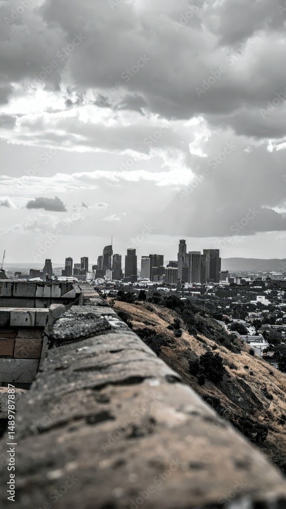 Obraz premium Urban Skyline and Natural Landscape Interaction Over City View