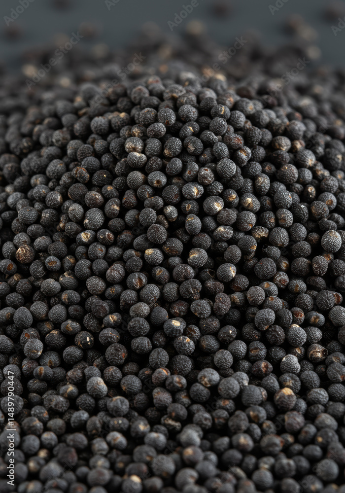 A concentrated mass of tiny, dark seeds fills the frame in a detailed close up shot. A concentrated mass of tiny, dark seeds fills the frame in a detailed close up shot.