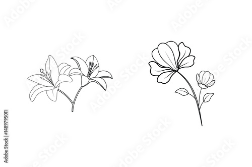 Delicate black and white floral outlines featuring lilies and wildflowers on white background
