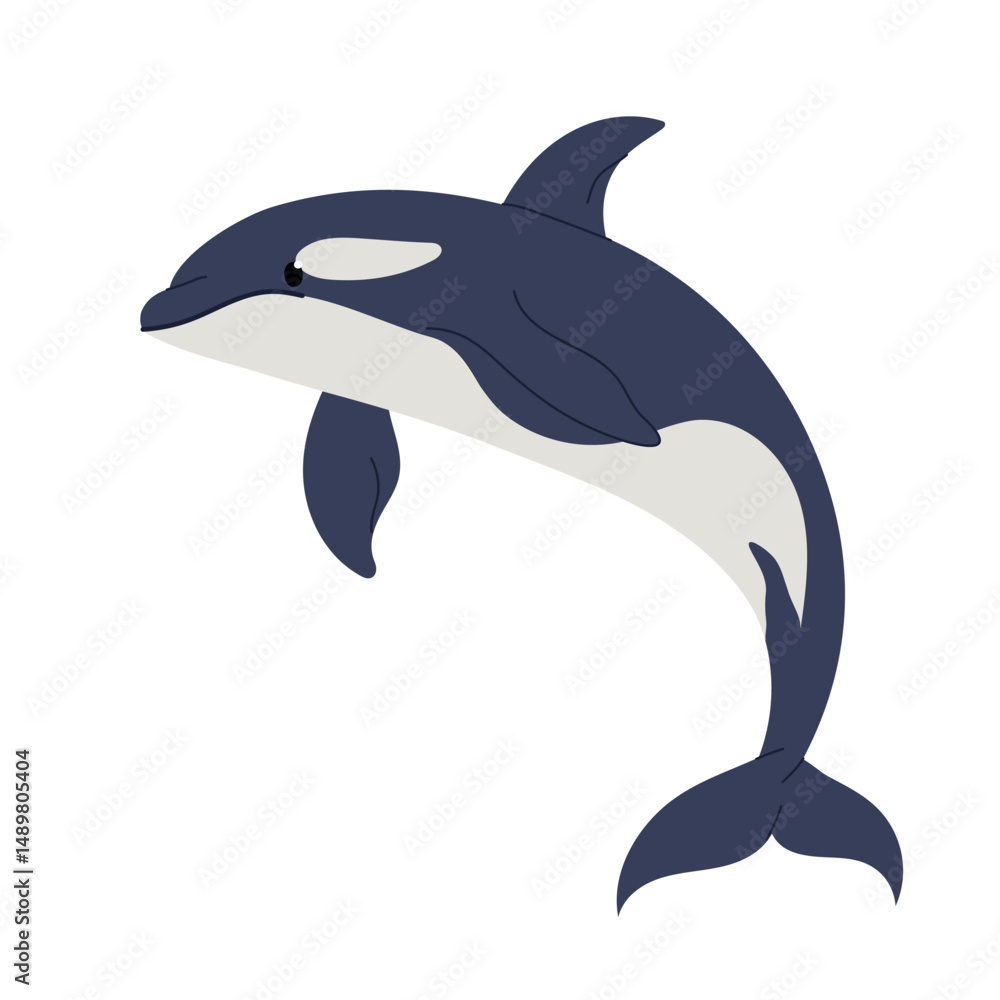 Fototapeta premium Killer whale. Marine animal. A big oceanic fish. 