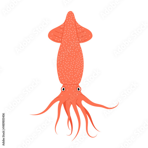 Sea squid. Creature of aquatic fauna flat illustration. Marine animal.