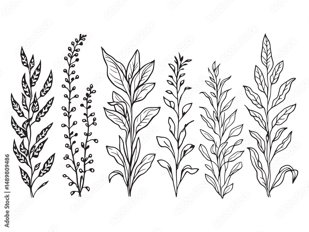 Naklejka premium Snake Plant line art vector illustration