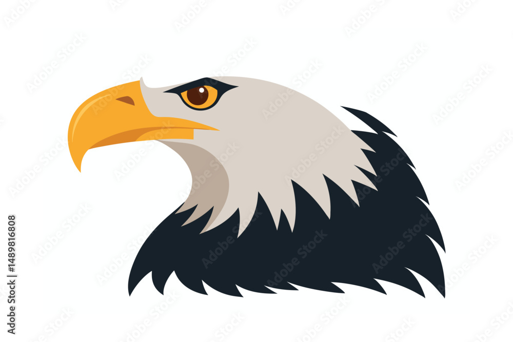 Fototapeta premium american bald eagle