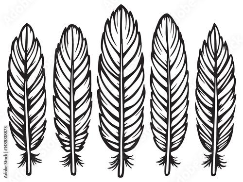 Foto Thunderbird Feather line art vector illustration