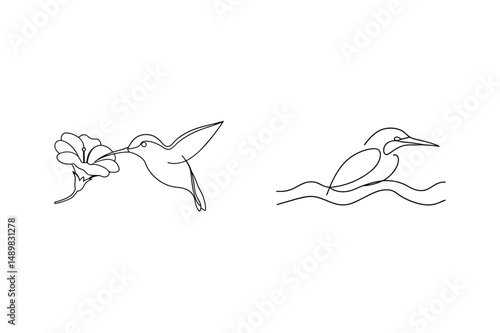Minimalist continuous line drawings of hummingbird and bird in a watery environment
